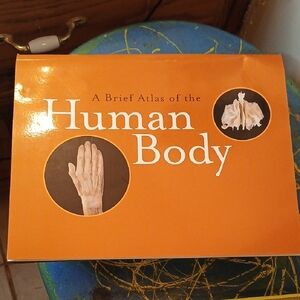 A Brief Atlas Of The Human Body. 97 Pages Photos And Illustration